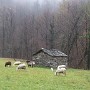 12 Novembre, Luserna SG